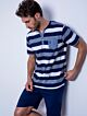 Navy & White